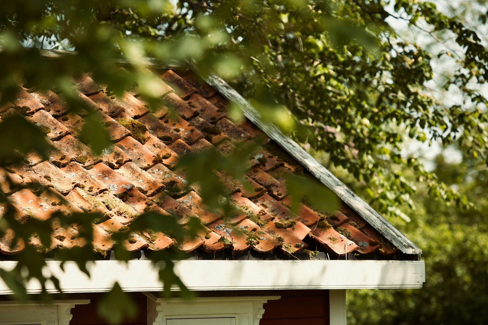 Close-up of clay roof tiles typical of a UK roof replacement
